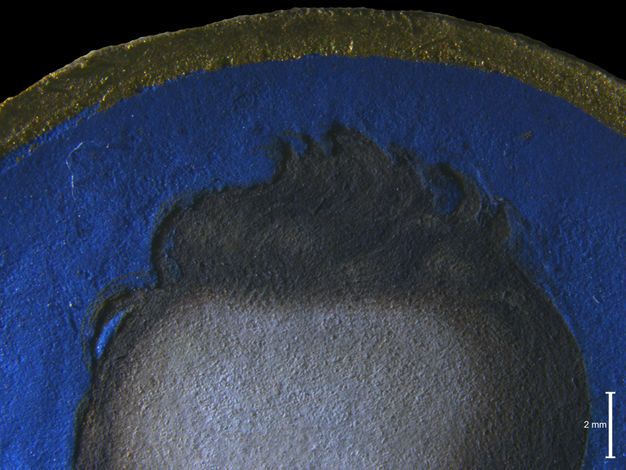 Painting. Detail view of vivid blue painted around a pale-skinned forehead and brown wavy hair. A scale in the lower right corner measures 2 mm.