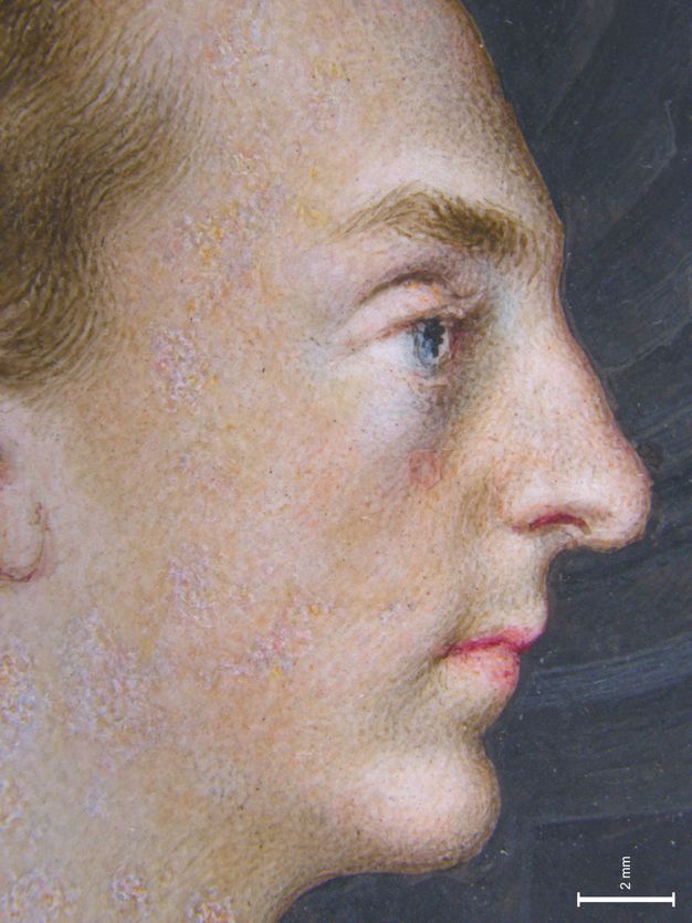 Painting. Detail view of a pale-skinned man’s profile. He has a bumped nose, downwards turning pink lips, and a knobby chin. His blue eyes and the modelling of his eyebrows and skin are done with short strokes and touches of paint. A scale in the lower right measures 2 mm.