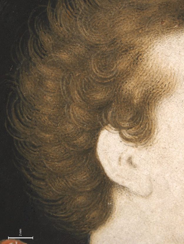 Painting. Detail view of bronze-brown curls swirling around a pale-skinned ear. A scale in the lower left measures 2 mm.