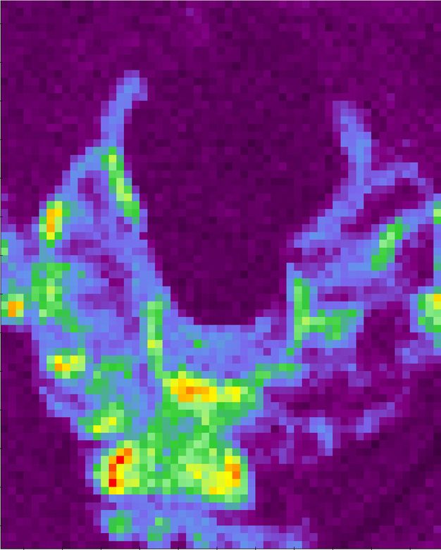 A rectangular field is filled with what looks like pixelated squares of colour. Most of the squares are violet or eggplant purple but blues, greens, and few areas of yellow, orange, and red create a broad, thick U shape across the bottom of the picture.