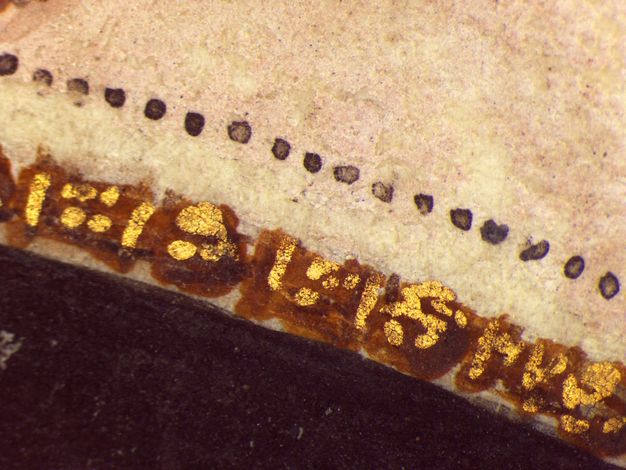 Watercolour. Detail view of finely painted black dots against ivory white and short gold lines against rust brown.